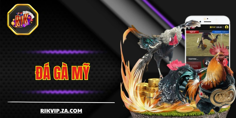 Đá Gà Mỹ - Màn Trình Diễn Giữa Các Chiến Kê Đỉnh Cao